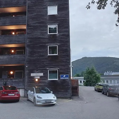 Апартаменти Cosy Near Center Берген