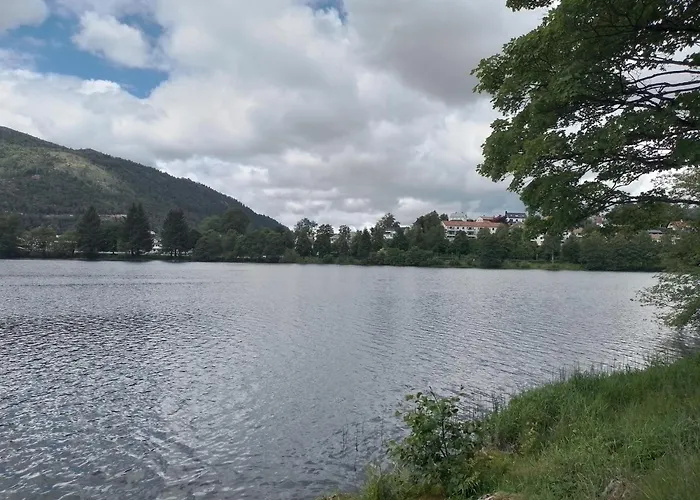 Cosy Near Center Apartmán Bergen